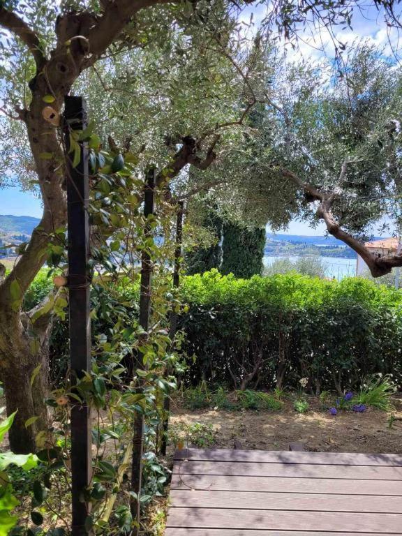 Izabela Apartment Πορτορόζ Εξωτερικό φωτογραφία