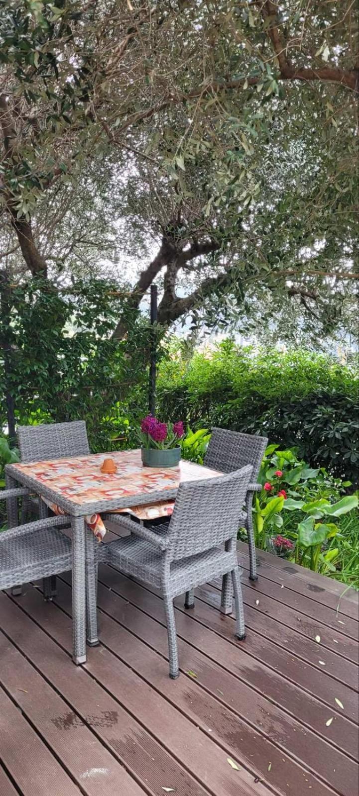 Izabela Apartment Πορτορόζ Εξωτερικό φωτογραφία